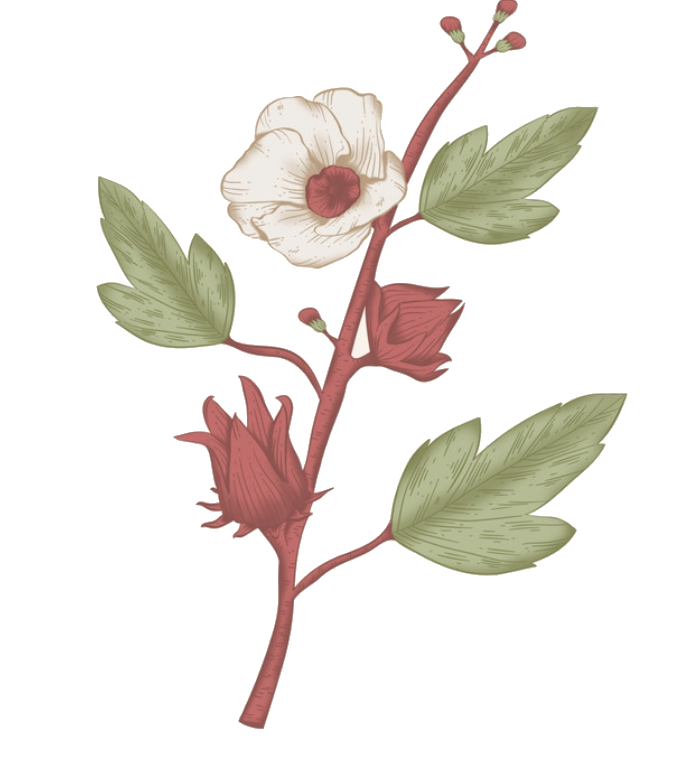 Illustrazione floreale