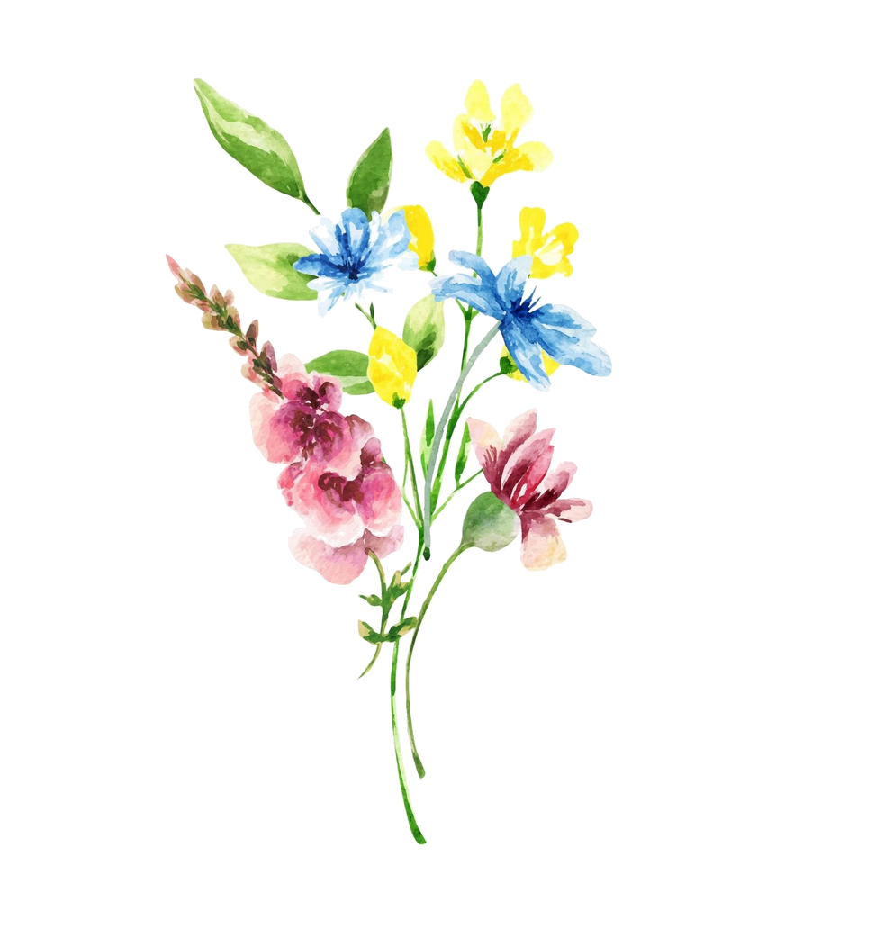 Illustrazione floreale